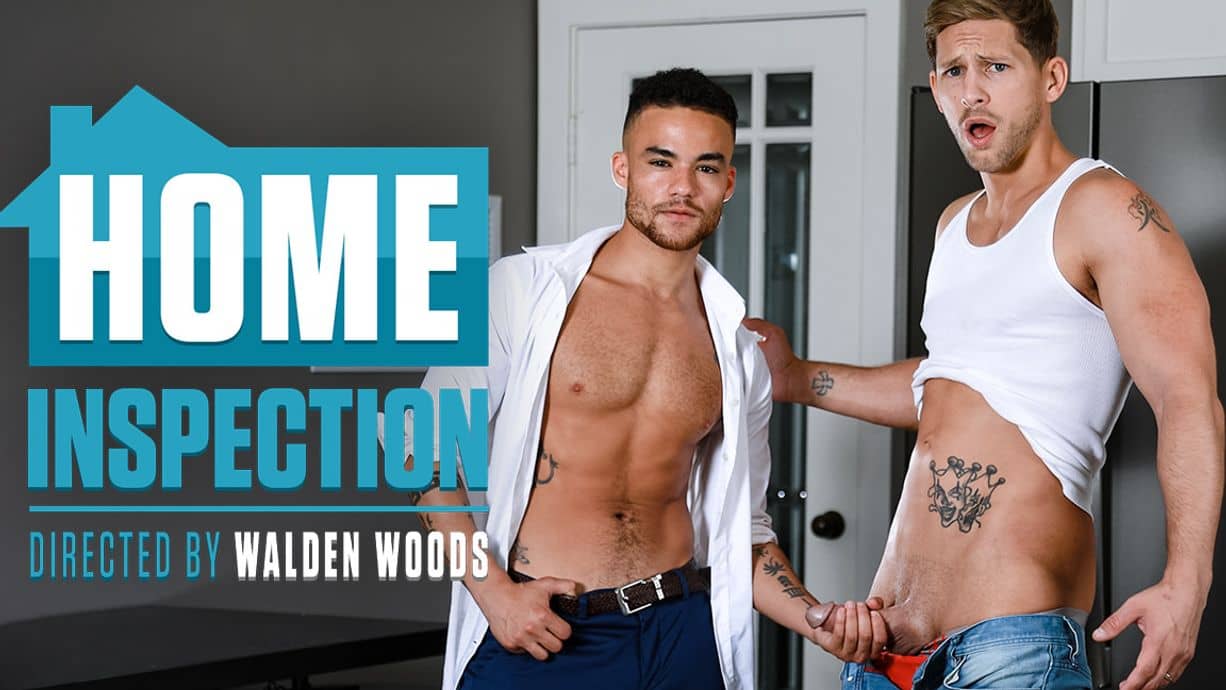 Home Inspection – Roman Todd and Beaux Banks