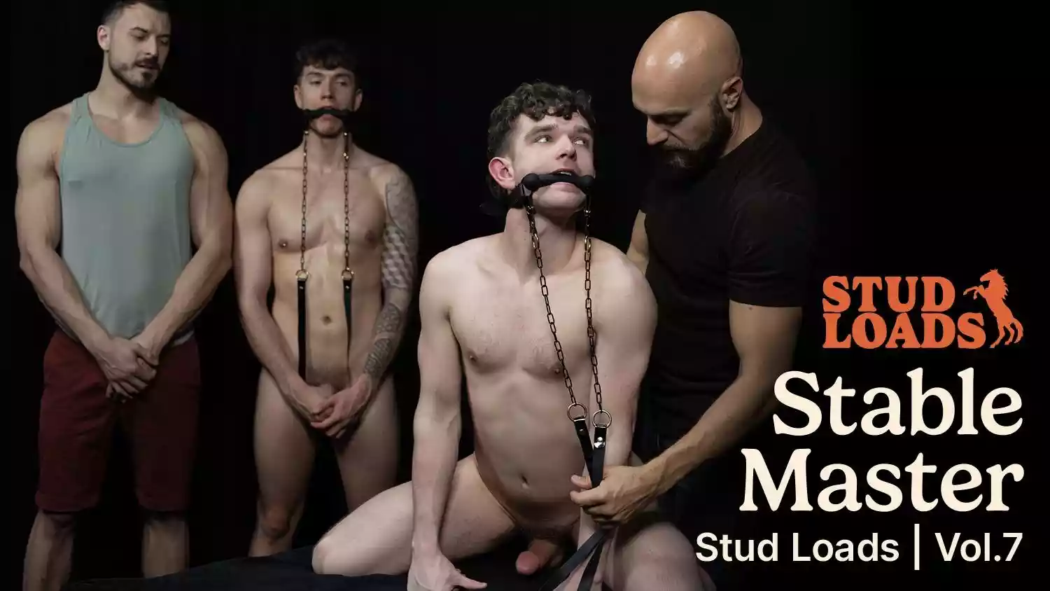 Stud Loads Volume 7, Stable Master