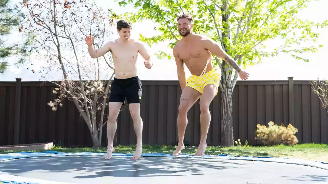 Curved King and Gryphon